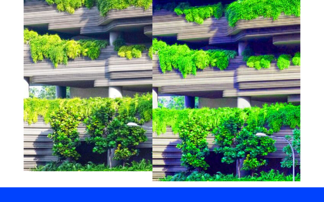 Membuat Warna Daun Lebih Hijau di Adobe Photoshop