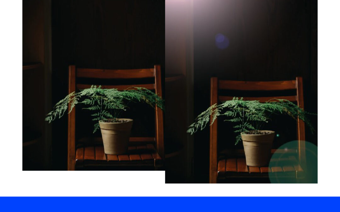 Memberi Sinar Matahari Pada Tanaman di Photoshop