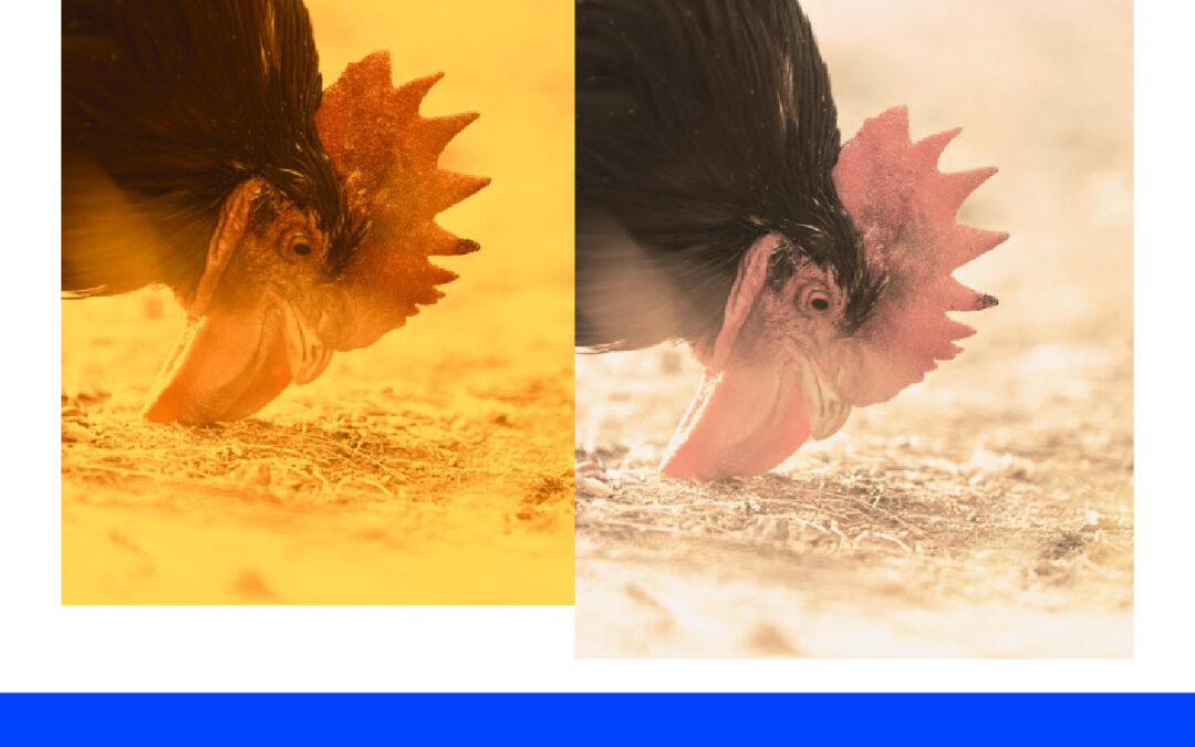 Cara Memberikan Efek CadleLight di Adobe Photoshop