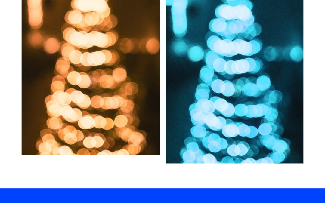 Mengganti Warna Bokeh di Adobe Photoshop