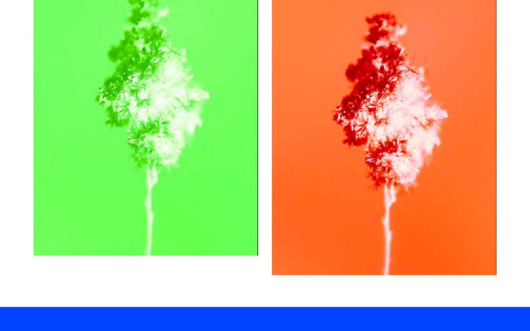 Mengganti Warna Background Menjadi Orange dengan Color Lookup