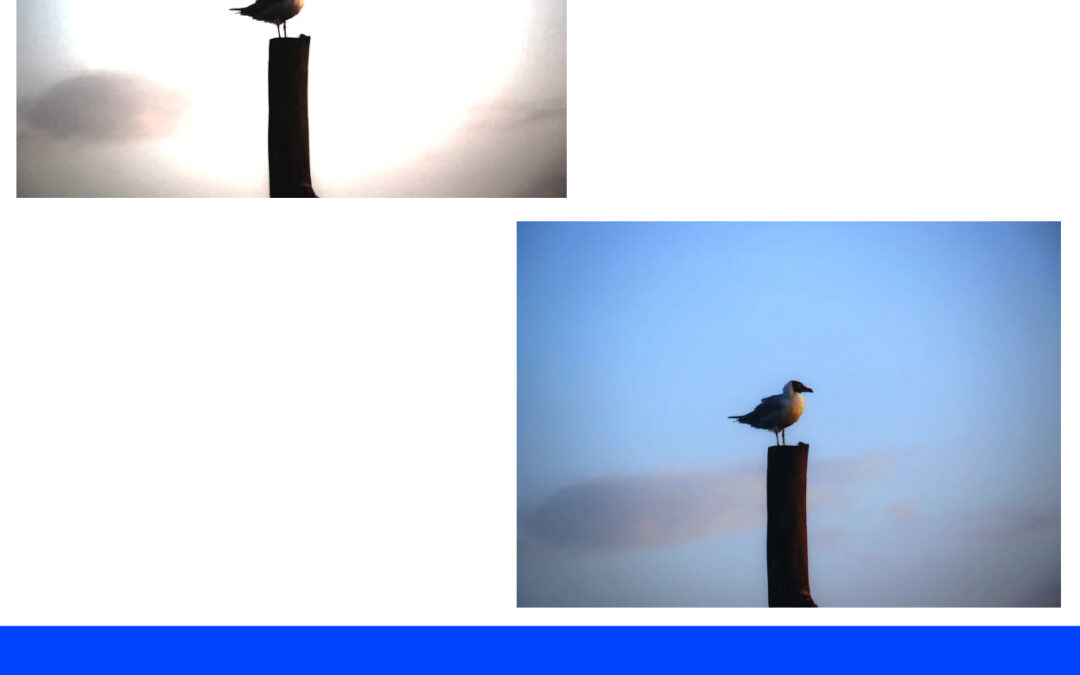 Menghilangkan Cahaya di Belakang Background dengan Filter
