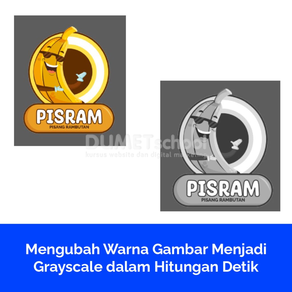 Mengubah Warna Gambar Menjadi Grayscale dalam Hitungan Detik